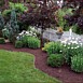 Flowerbed & Shrub Maintenance